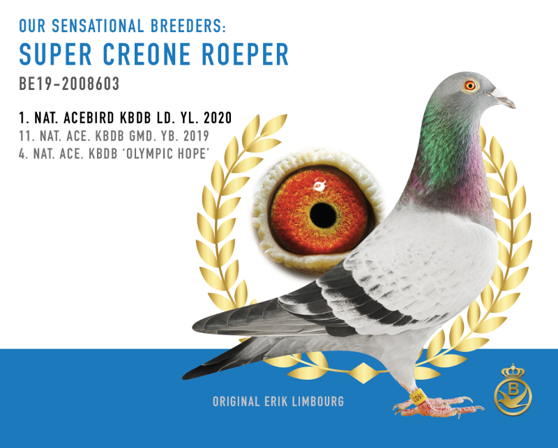 荷兰 布劳尔黄金之选战队（下）